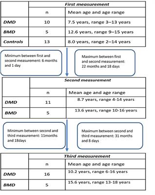 Longitudinal Study of Three microRNAs in Duchenne Muscular Dystrophy and Becker Muscular Dystrophy